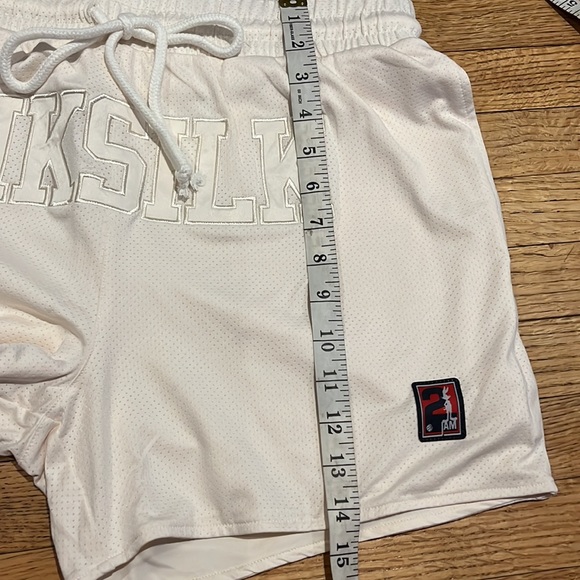 Space jam X SikSilk Mesh Short - Picture 14 of 15
